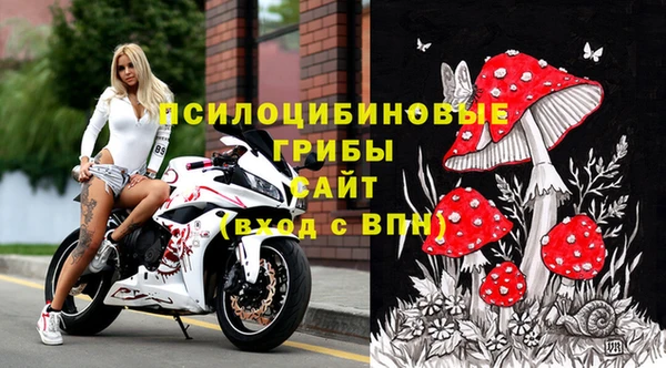 экстази Каменка