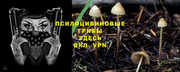 каннабис Каменногорск
